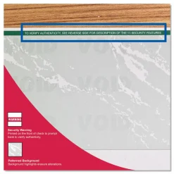 DocuGard High Security Green Marble Business Checks with 11 Features to Prevent Fraud - Letter - 8 1/2