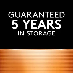 Duracell AAAA 1.5V Specialty Alkaline Batteries, Pack of 2