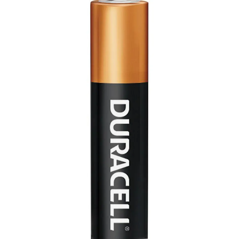 Duracell Coppertop AAA Alkaline Batteries, Pack of 20