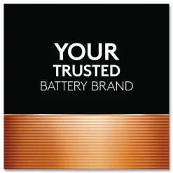Duracell Coppertop AA Alkaline Batteries, Pack of 24