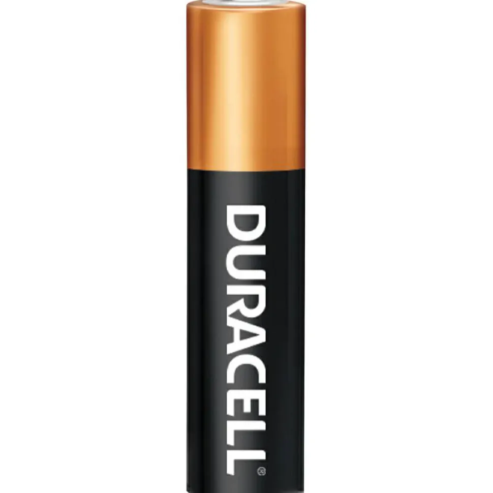 Duracell Coppertop AA Alkaline Batteries, Pack of 20