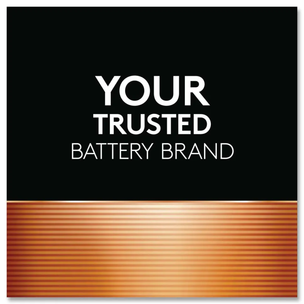 Duracell POWER BOOST Coppertop Alkaline AA Batteries, 224/Carton