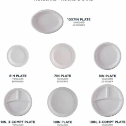 Eco-Products Vanguard Renewable and Sugarcane Plates, 10