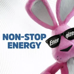 Energizer 3-Volt Lithium Battery, 2450