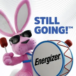 Energizer 3-Volt Lithium Battery, 2450
