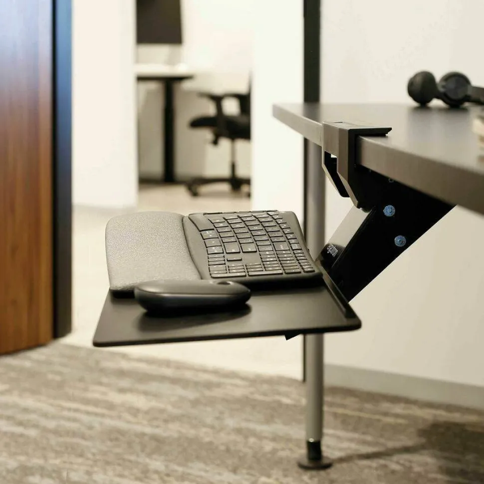 Ergotron Neo-Flex Mounting Arm for Keyboard, Mouse - Black