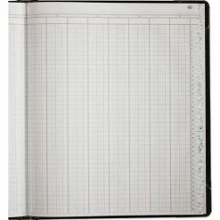 Esselte Columnar Book, 12-Column to Rt., 12 1/4