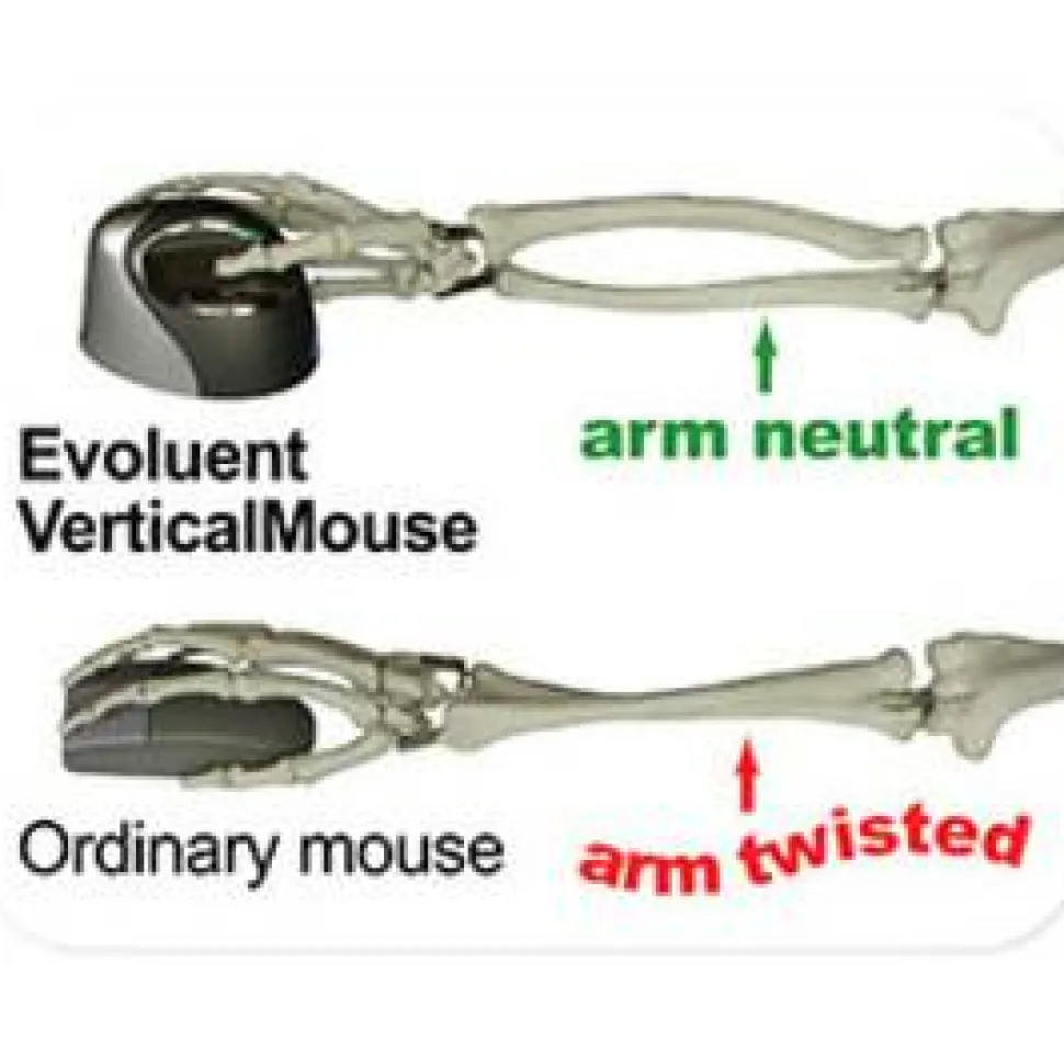 Evoluent VerticalMouse 4 Right Wireless