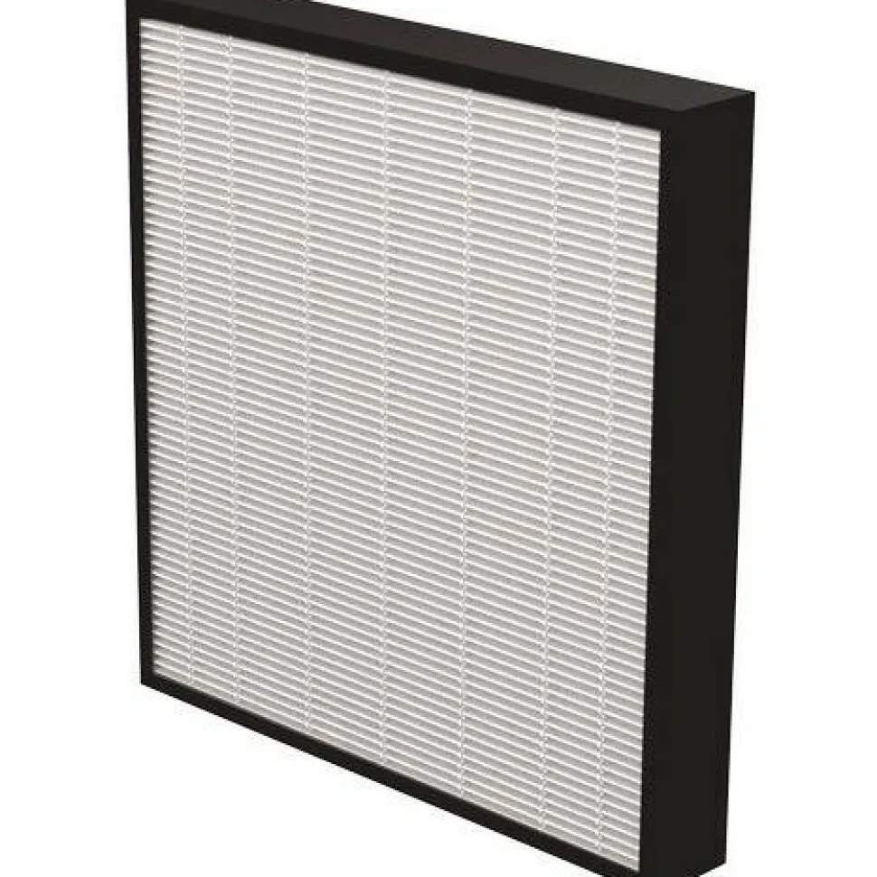 Fellowes AeraMax Pro True HEPA 2" Filter, For Fellowes AeraMax Pro AM3/AM4 Air Purifiers , Pack Of 2