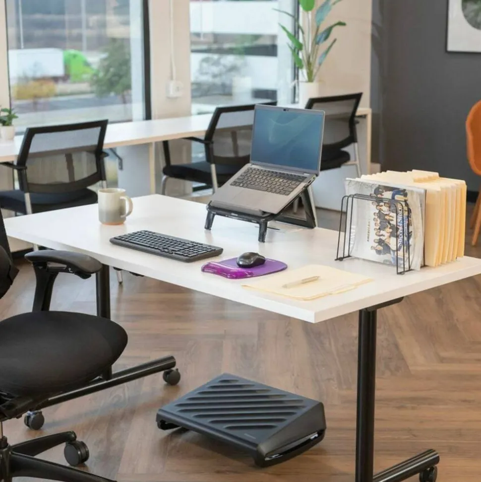 Fellowes File Organizer, Black