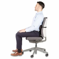 Fellowes Lumbar Back Support, 12 x 3.13 x 5.19, Black