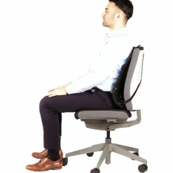 Fellowes Office Suites Mesh Back Support