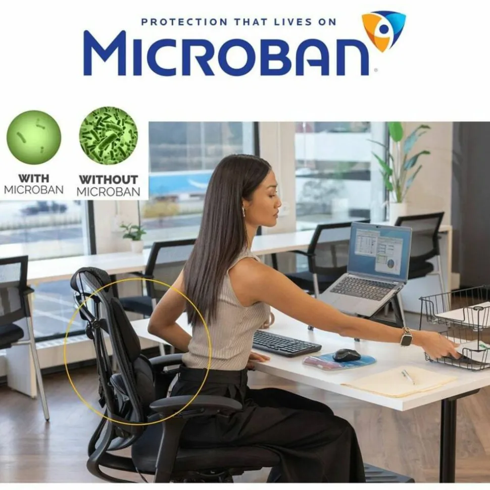 Fellowes Professional Series Back Support with Microban Protection, Black