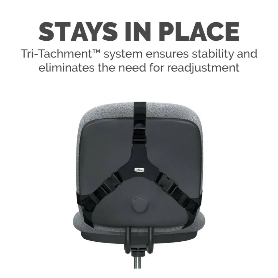 Fellowes Professional Series Back Support with Microban Protection, Black