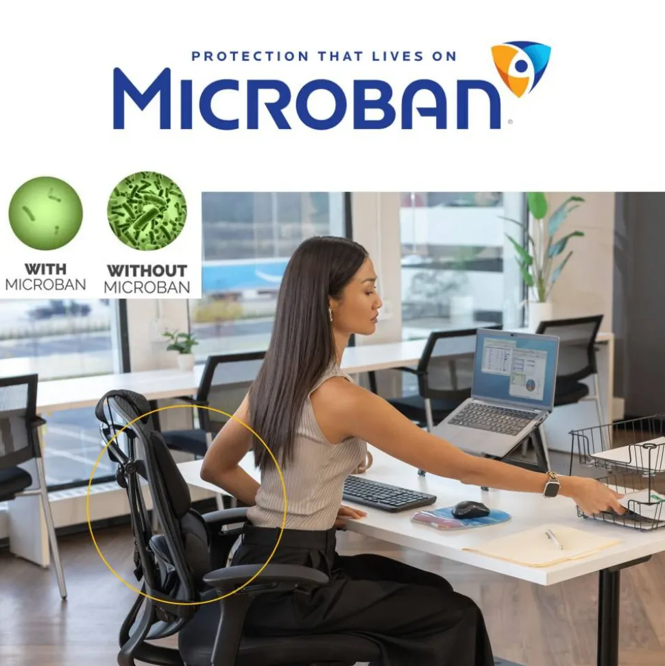 Fellowes Professional Series Back Support with Microban Protection, Black