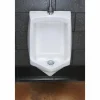 Fresh Products Enzymatic Urinal Block