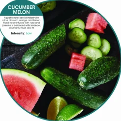 Fresh Products myfresh Refills, Cucumber Melon, 6 Refills