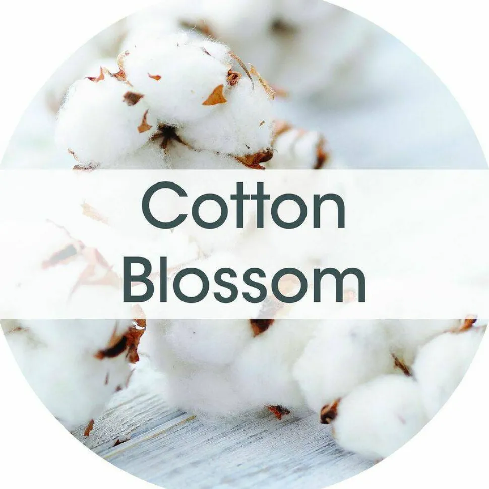 Fresh Products ourfreshE Refills, Cotton Blossom, 6/Box, 6 Boxes/Carton