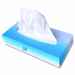 GEN Facial Tissue, Flat Box, 2-Ply, White, 100 Sheets/Box, 30 Boxes/Carton