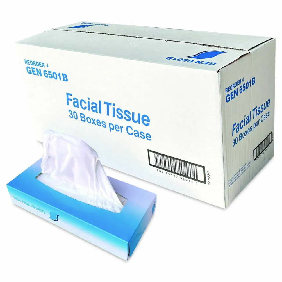 GEN Facial Tissue, Flat Box, 2-Ply, White, 100 Sheets/Box, 30 Boxes/Carton