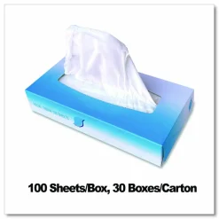 GEN Facial Tissue, Flat Box, 2-Ply, White, 100 Sheets/Box, 30 Boxes/Carton