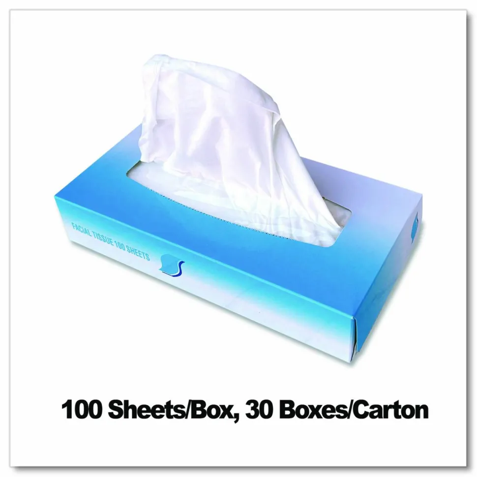 GEN Facial Tissue, Flat Box, 2-Ply, White, 100 Sheets/Box, 30 Boxes/Carton
