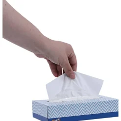 Genuine Joe 2-Ply Facial Tissue, 100 Sheets Per Box, Case Of 30 Boxes