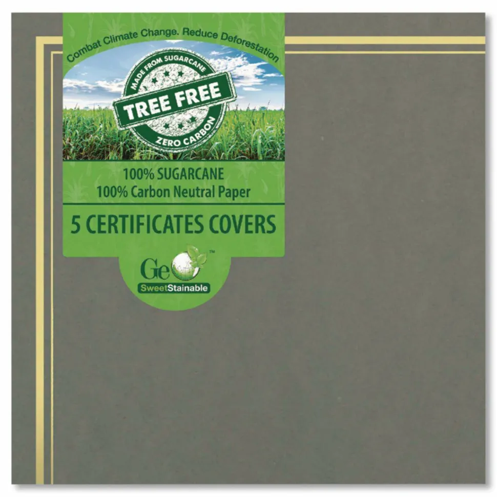 Geographics Award Certificate Gold Design Covers, Letter Size (8 1/2" x 11"), Metallic Gray, Pack Of 6