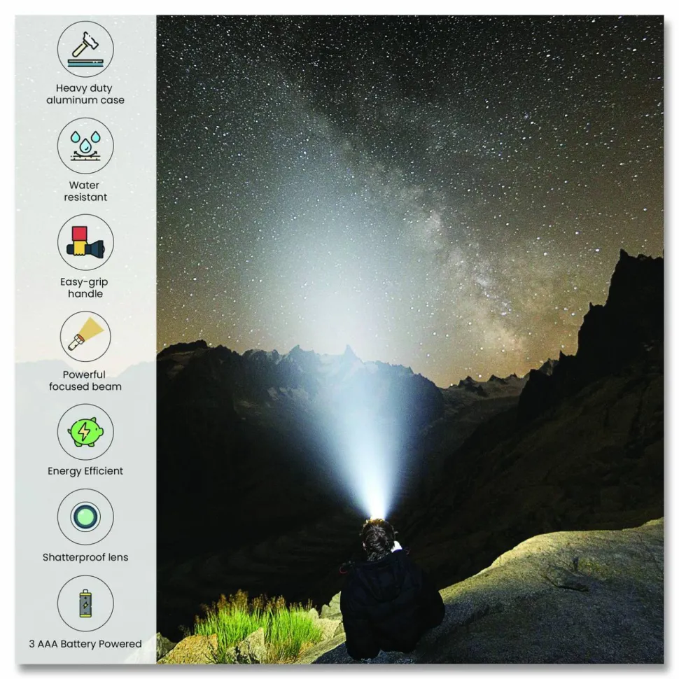 GoGreen Power 28 LED Professional Flashlight, 3 AAA Batteries (Included), Black/Silver