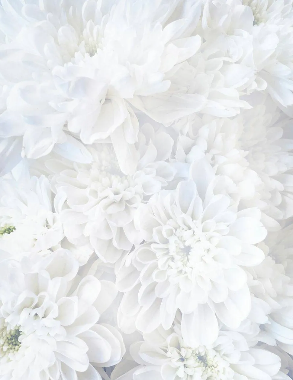 Great Papers! Stationery Letterhead, White Soft Petals, 8.5" x 11", Printer Compatible, 80 sheets