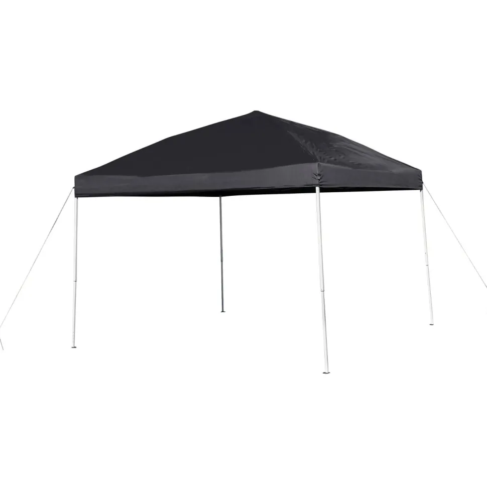 Harris 10'x10' Black Outdoor Pop Up Event Slanted Leg Canopy Tent with Carry Bag