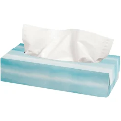 Highmark 2-Ply Facial Tissue, Flat Box, White, 100 Tissues Per Box, Case Of 30 Boxes