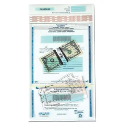Iconex Clear Dual Deposit Bags with Tamper Evident Closure, Plastic, 11