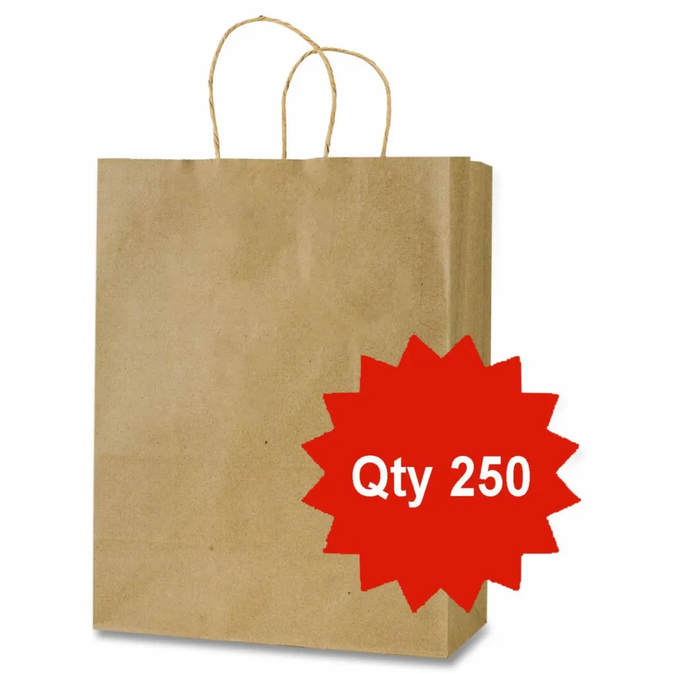 Inteplast Group Get Reddi Paper Bags, Pixie Size, 60# Basis Weight, Twisted Rope Handles, 10" x 5" x 13", Brown, 250/Carton