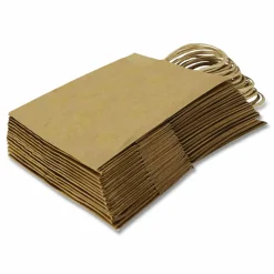 Inteplast Group Get Reddi Paper Bags, Pixie Size, 60# Basis Weight, Twisted Rope Handles, 10