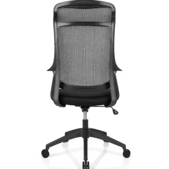 Lenzer Mesh High-Back Task Office Chair, Black, BIFMA Compliant