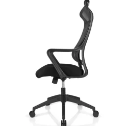 Lenzer Mesh High-Back Task Office Chair, Black, BIFMA Compliant