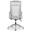 Lenzer Mesh High-Back Task Office Chair, Gray, BIFMA Compliant