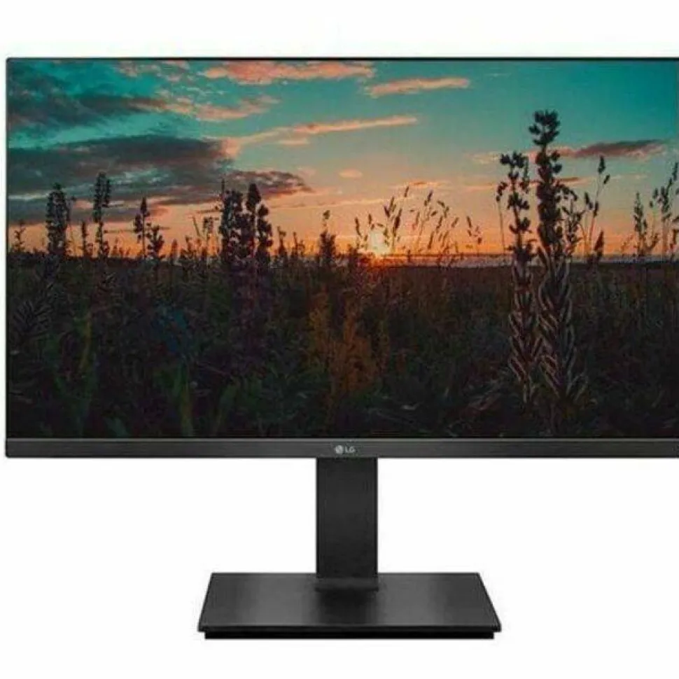 LG 24BP450Y-I 24" Class LCD Monitor - 16:9 - Black - TAA Compliant