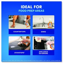 LYSOL Brand Kitchen Pro Antibacterial Cleaner, 22 oz Spray Bottle