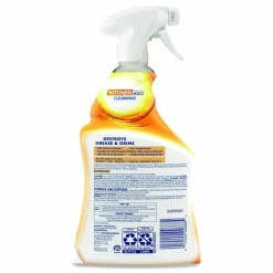 LYSOL Brand Kitchen Pro Antibacterial Cleaner, 22 oz Spray Bottle, 9/Carton