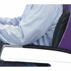 Master Memory-Foam Seat Cushion, 17