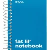 Mead Fat Lil' Wirebound Notebook, 4" x 5 1/2", 200 Sheets, Assorted Colors