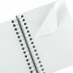 Mead Fat Lil' Wirebound Notebook, 4