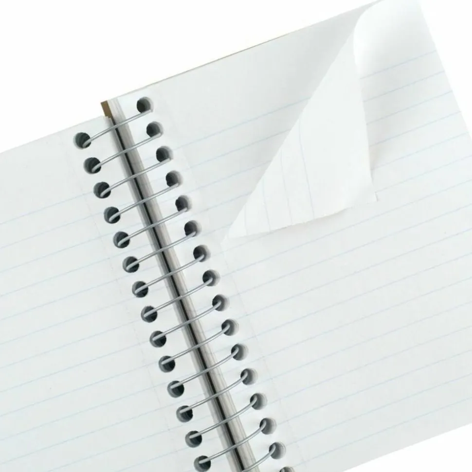 Mead Fat Lil' Wirebound Notebook, 4" x 5 1/2", 200 Sheets, Assorted Colors