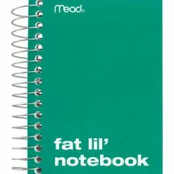 Mead Fat Lil' Wirebound Notebook, 4