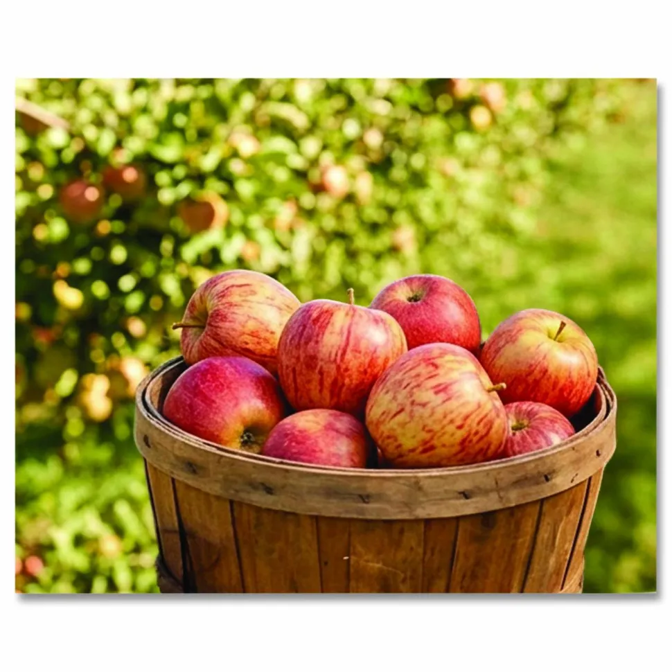 National Brand Fresh Gala Apples, 8/Carton