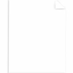 Neenah Multi-Purpose Card Stock, Bright White, Letter (8.5