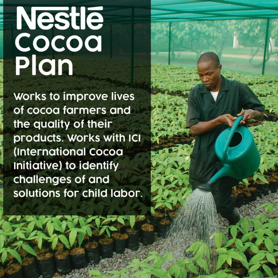 Nestle Dark Chocolate Single-Serve Hot Cocoa Mix