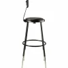 NPS 6400 Series Height Adj Heavy Duty Vinyl Steel Stool w/Backrest, Supports 300 lb, 25"-33" Seat Ht, Black